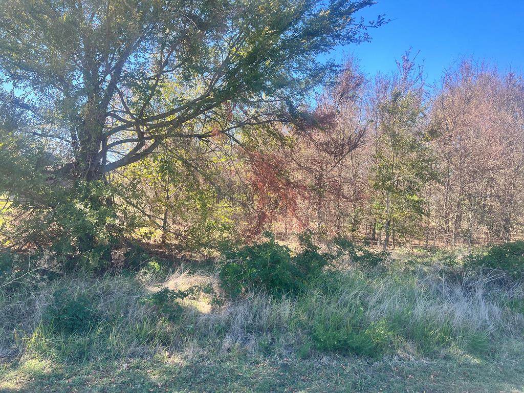 0 Masthead Rd - Photo 1
