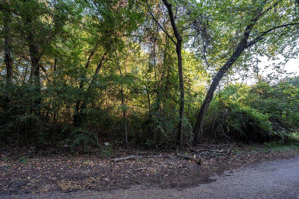 00 Lisa Ln - Photo 1