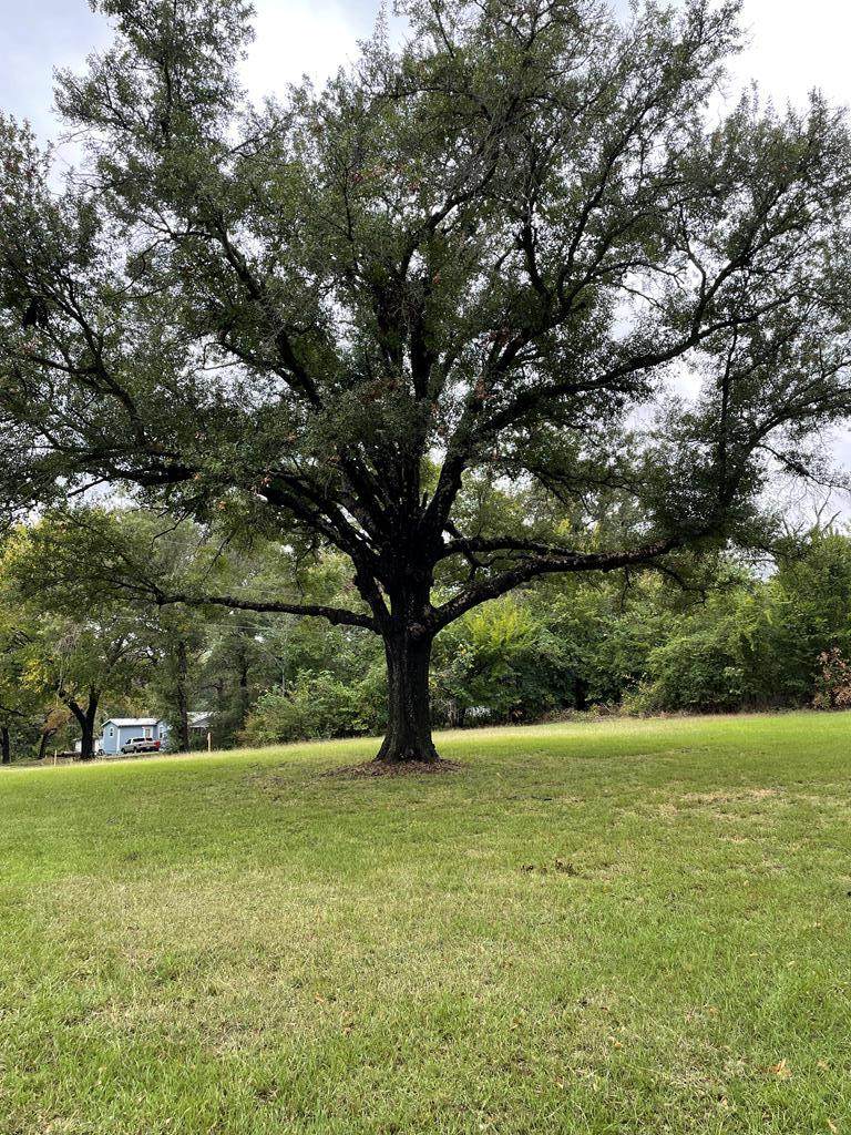 0 Mary Joe Rd - Photo 1