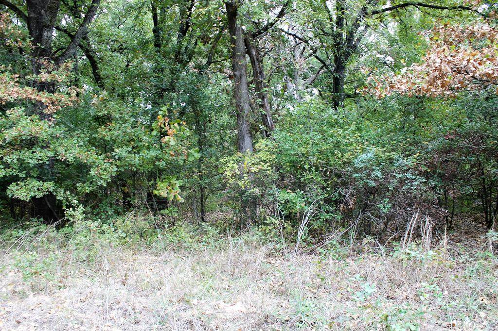 214 Whiteface - Photo 1