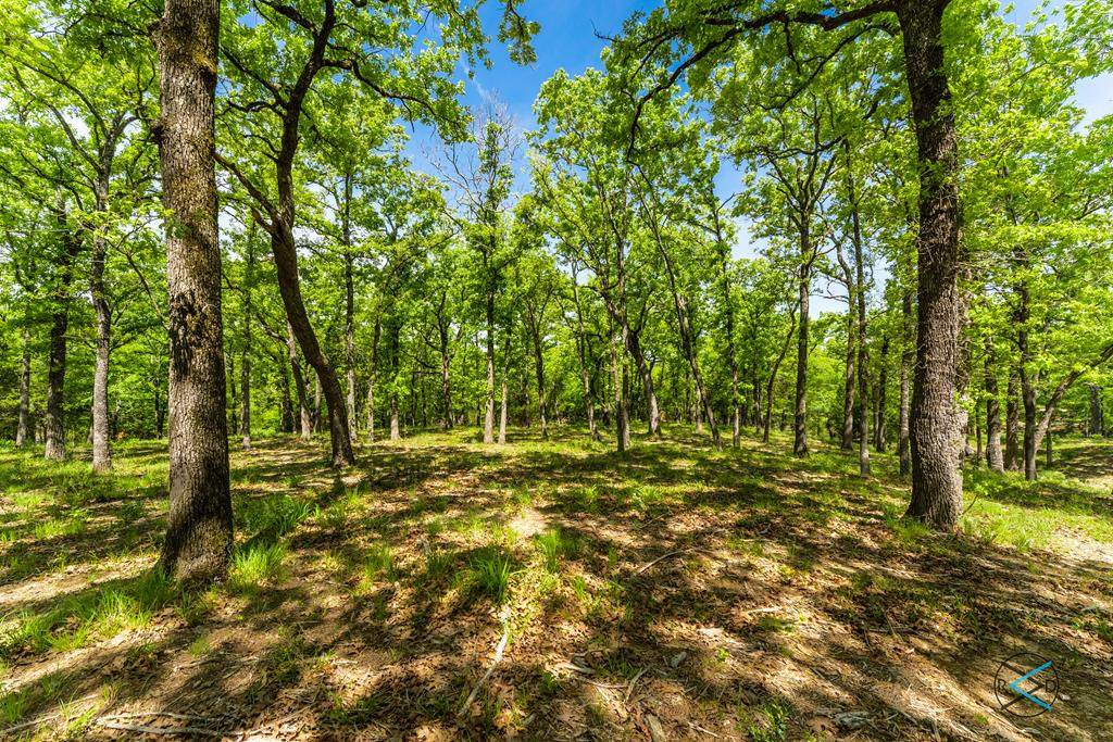0 Ranch Oaks - Photo 1