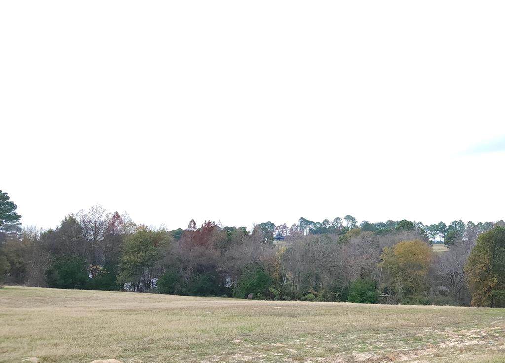 0 Lago Vista Dr - Photo 1