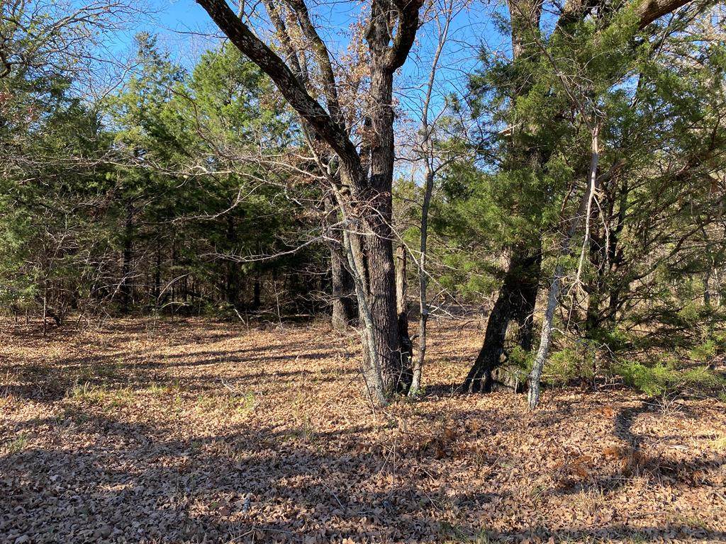 TBD Cr 2404 - Photo 1