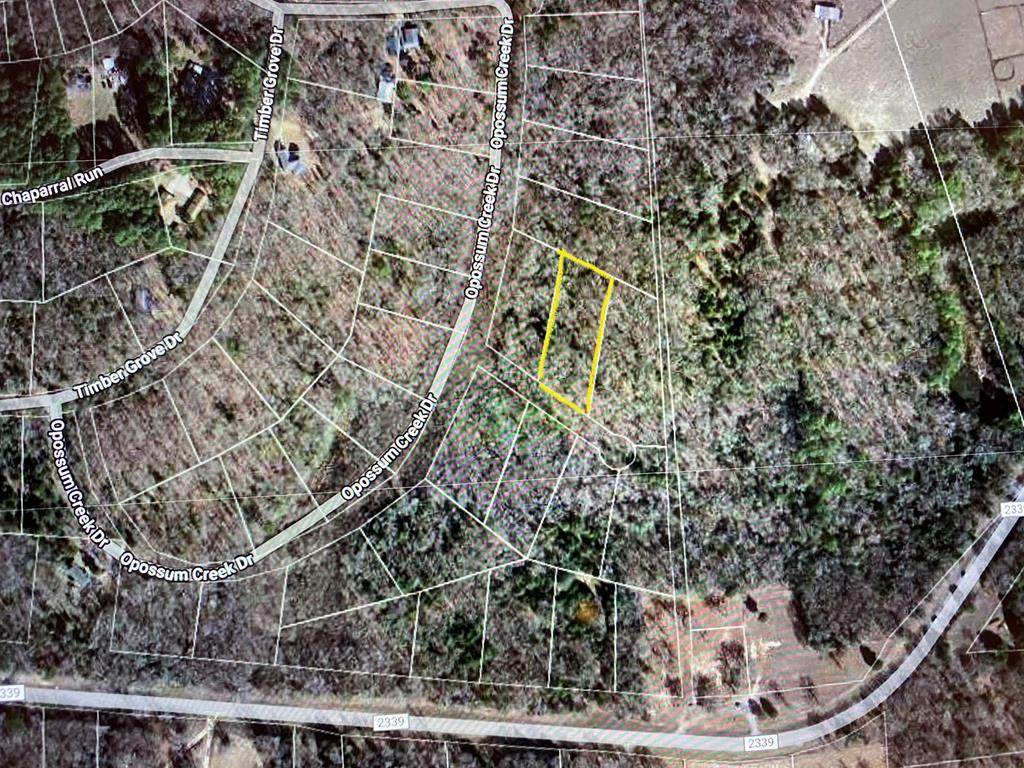 Lot 30 Racoon Cove - Photo 1