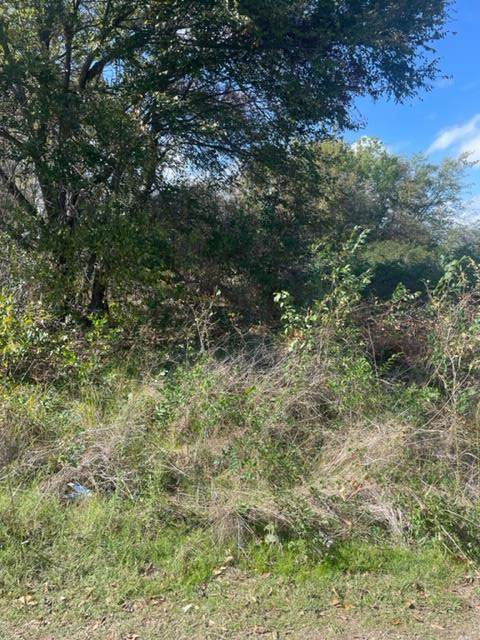 Lot 20 Masthead Rd - Photo 1