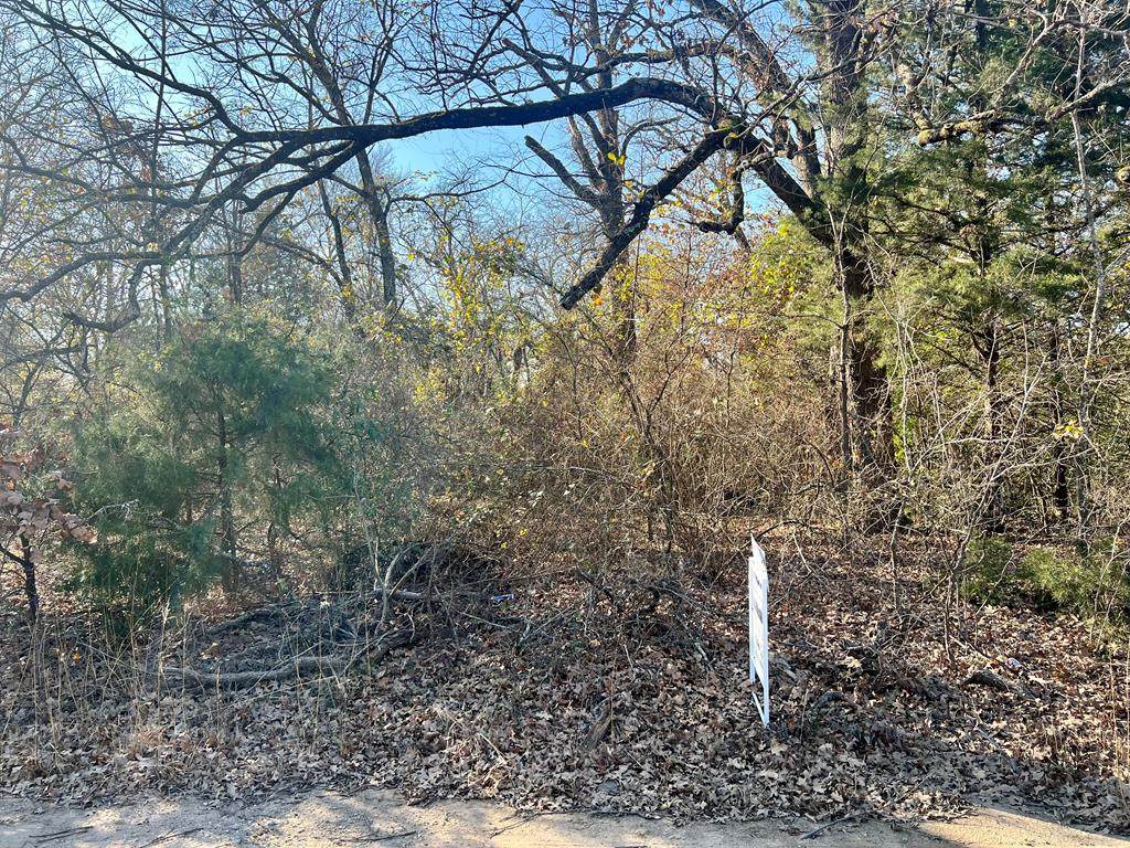 121 Coahoma - Photo 1