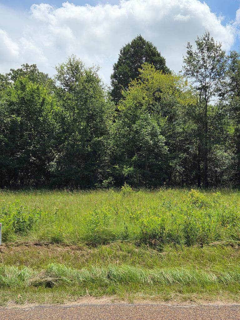 166 Deer Run Rd - Photo 1