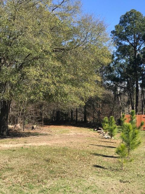 Lot 28 Pine Ridge - Photo 1