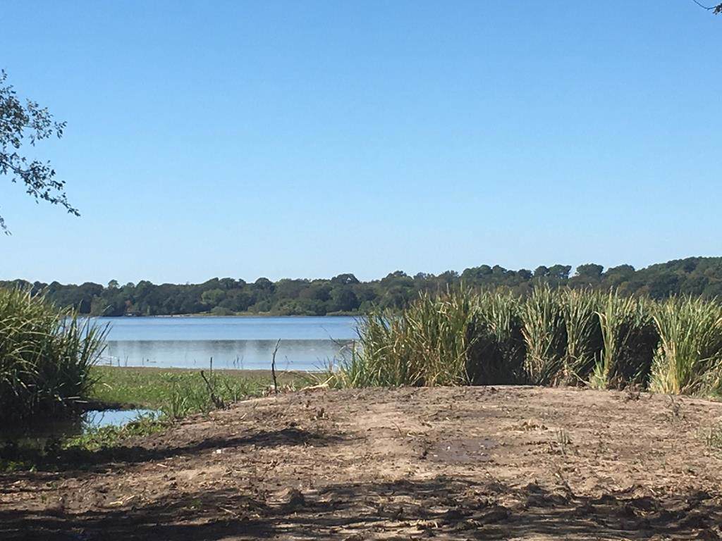 TRACT B Fm 2329 - Photo 1