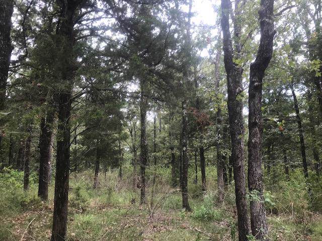 Lot 63 Pine Grove Court - Photo 1