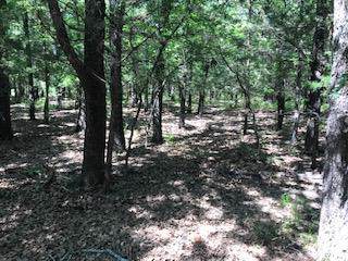 03 Blarey Ln - Photo 1