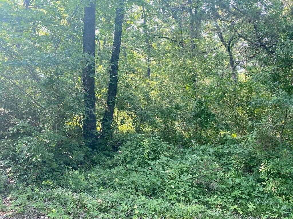 000 Oak Haven Drive - Photo 1