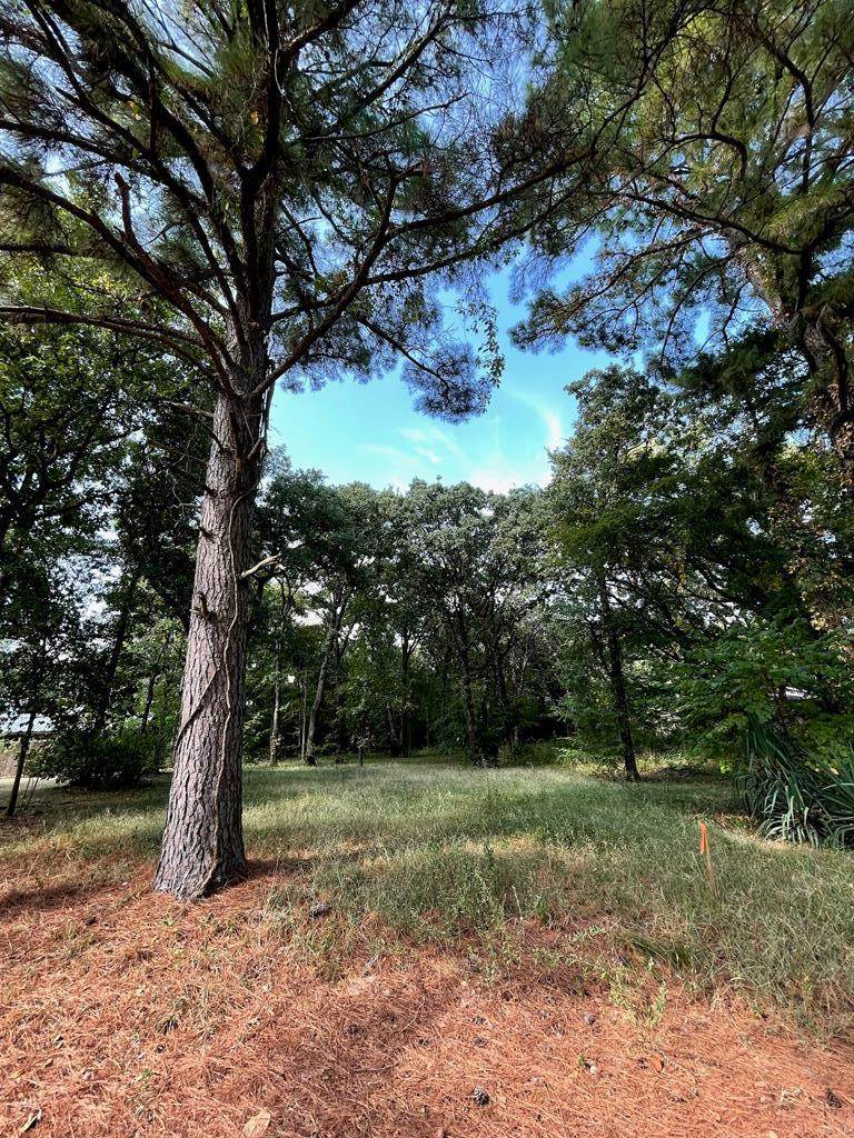 116 Island Park Drive - Photo 1