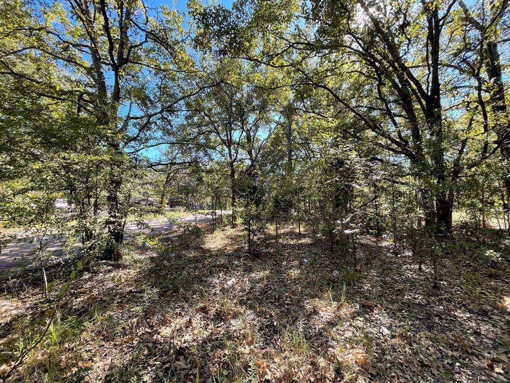 LOT73&74 Glen Oaks Drive - Photo 1