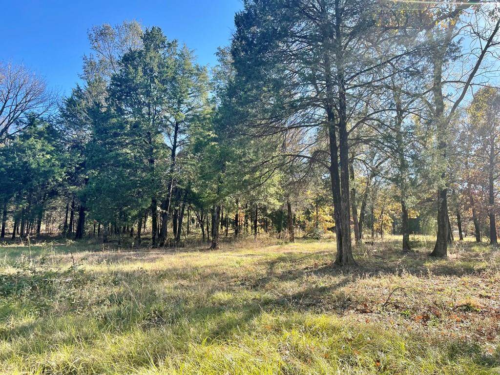 10528 Pr 5205 - Photo 1