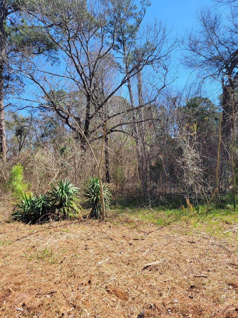 22592 Brierwood - Photo 1