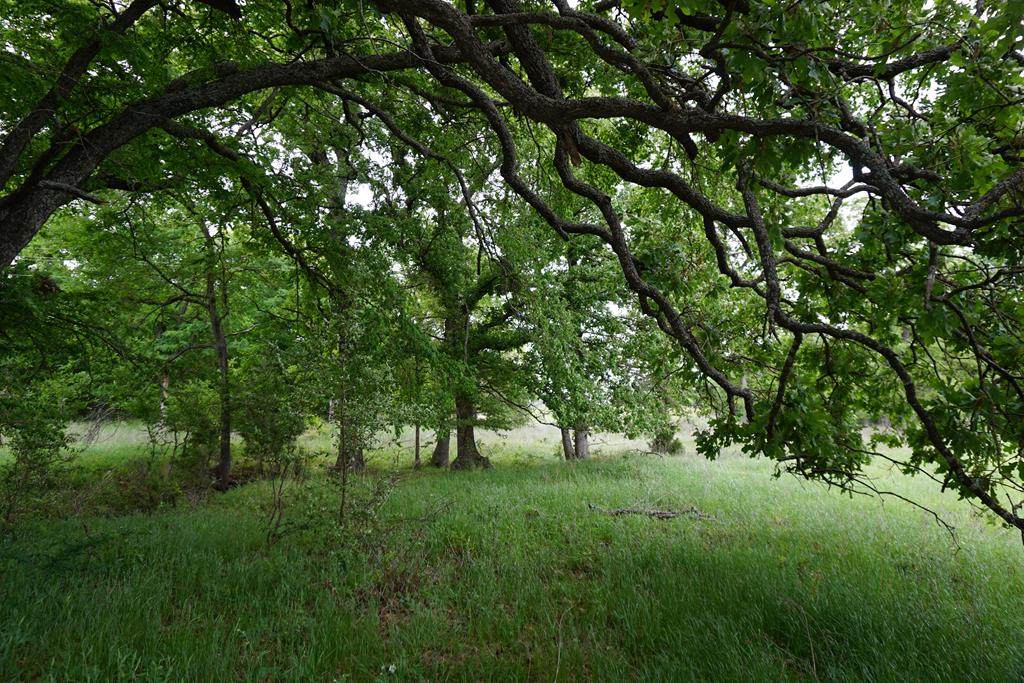 01 Hwy 59 - Photo 1