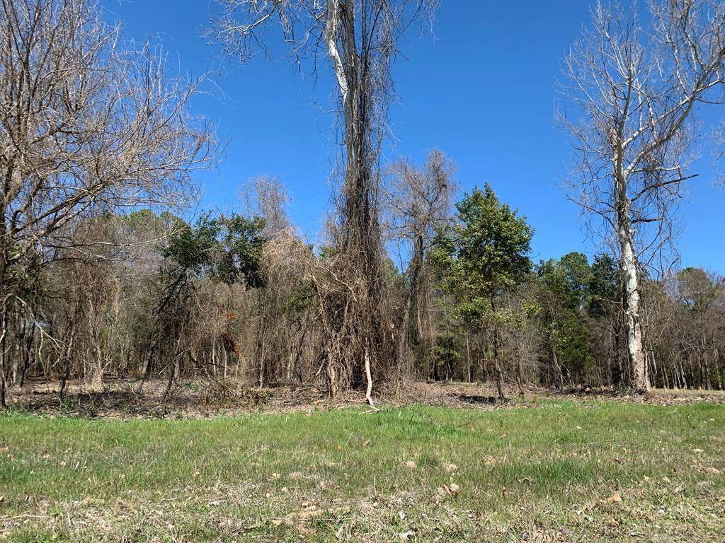 Lot 1 Gibson Rd - Photo 1