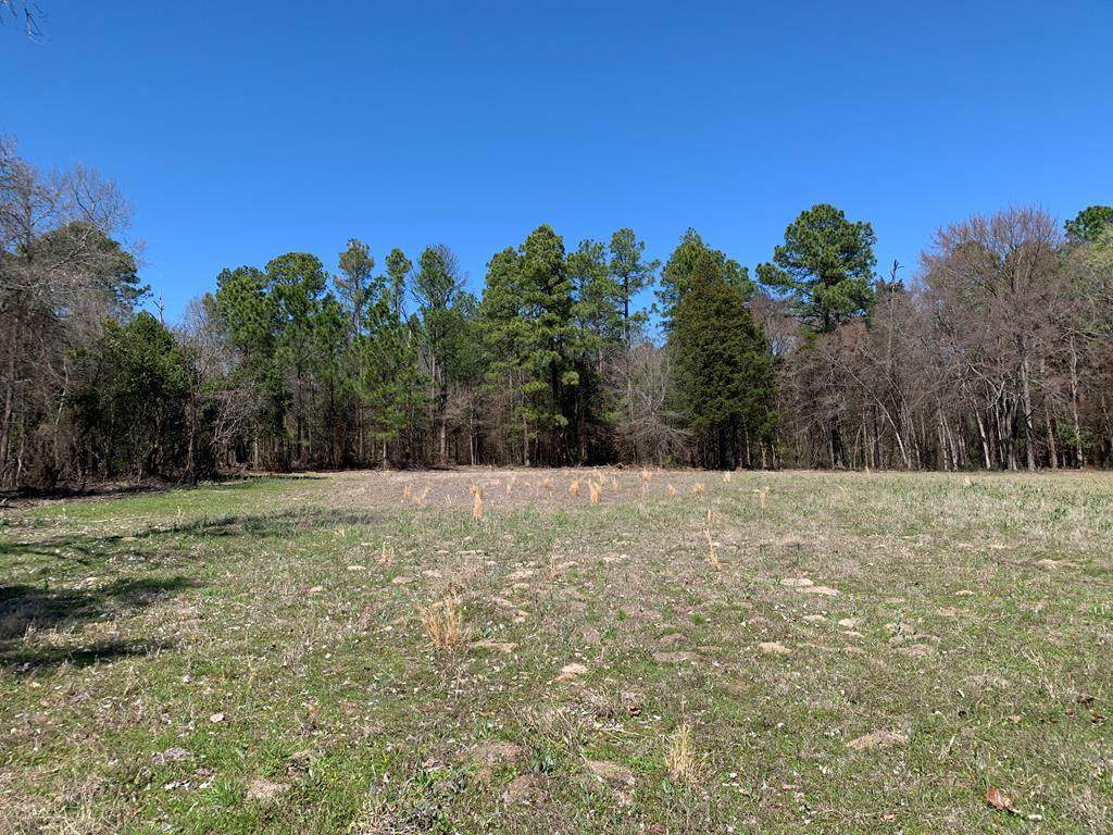 Lot 2 Gibson Rd - Photo 1