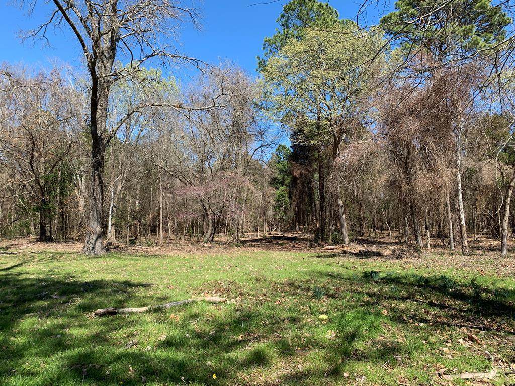 Lot 3 Gibson Rd - Photo 1