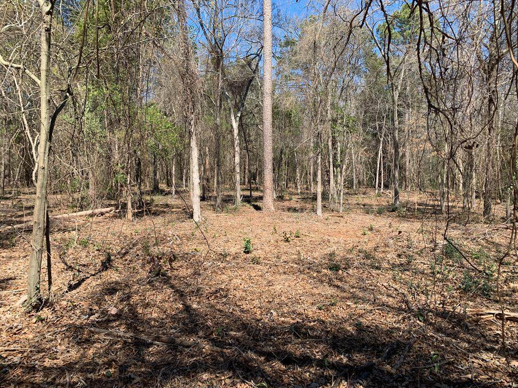 Lot 5 Gibson Rd - Photo 1