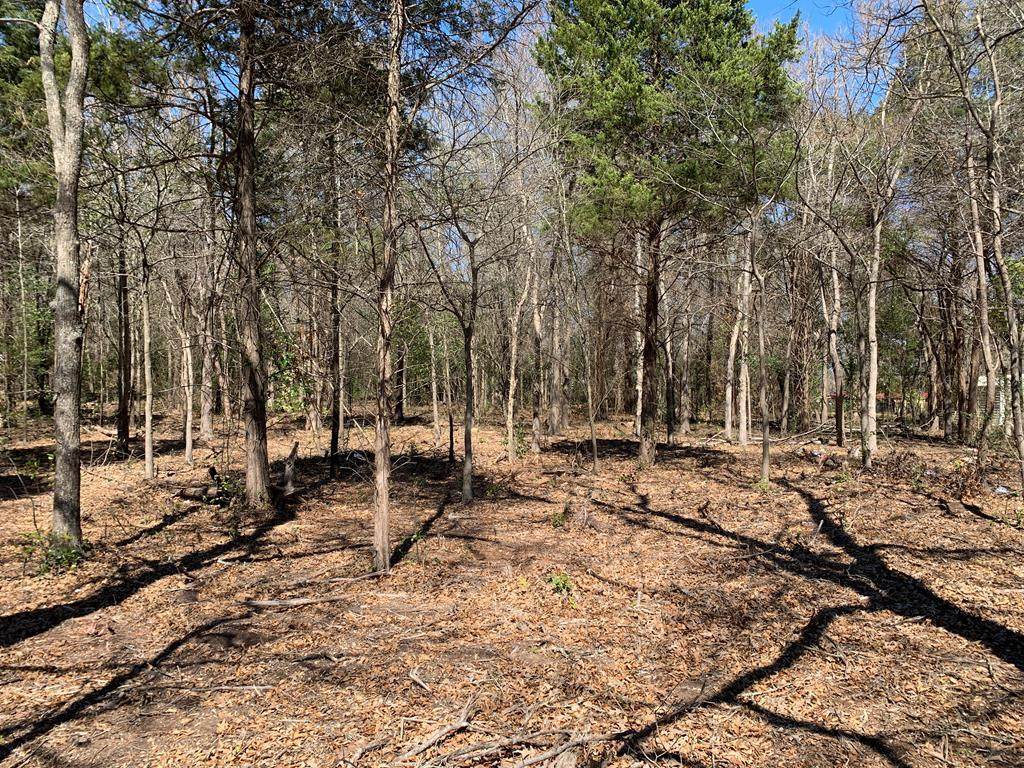 Lot 6 Gibson Rd - Photo 1