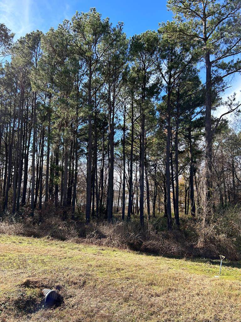 5227 Grand View Dr - Photo 1