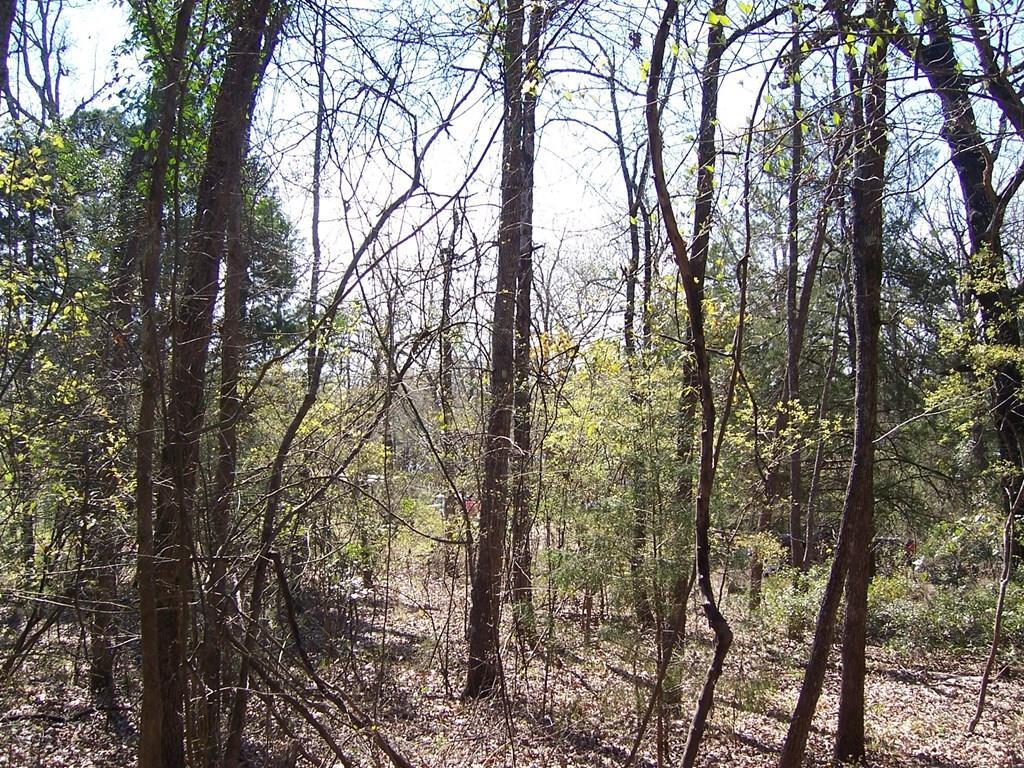 724 Elm Drive - Photo 1