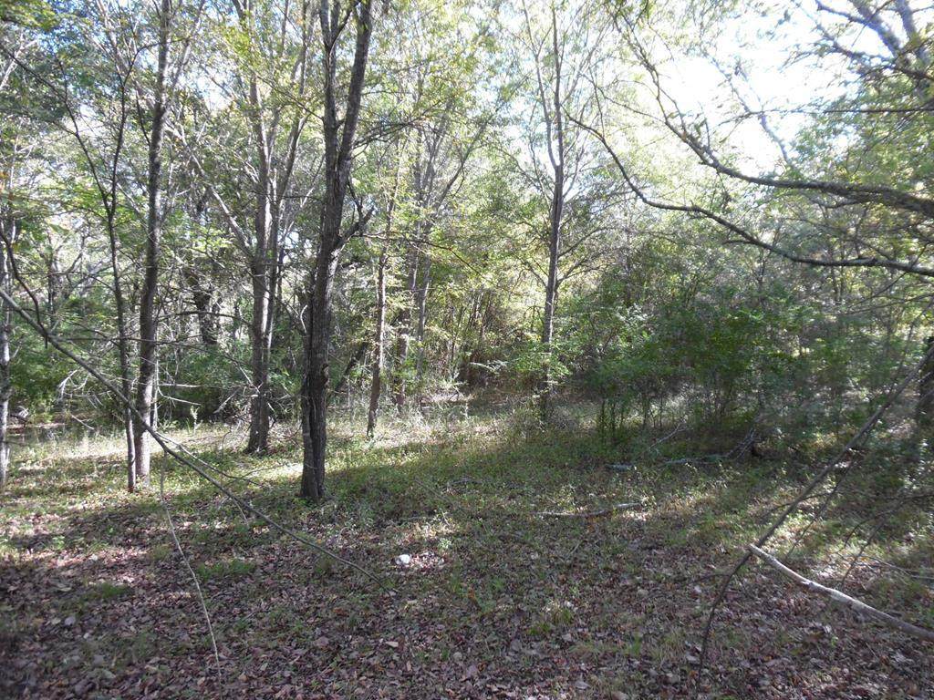 0000 Hwy 31 West - Photo 1