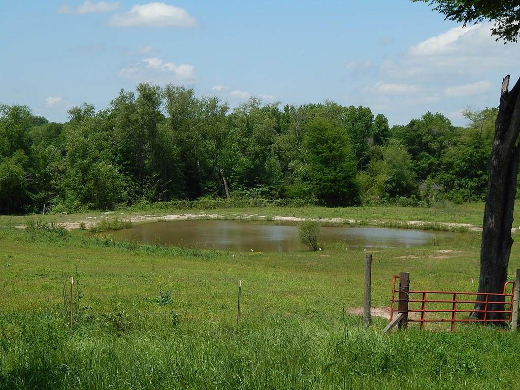 350 Fm 2339 - Photo 1