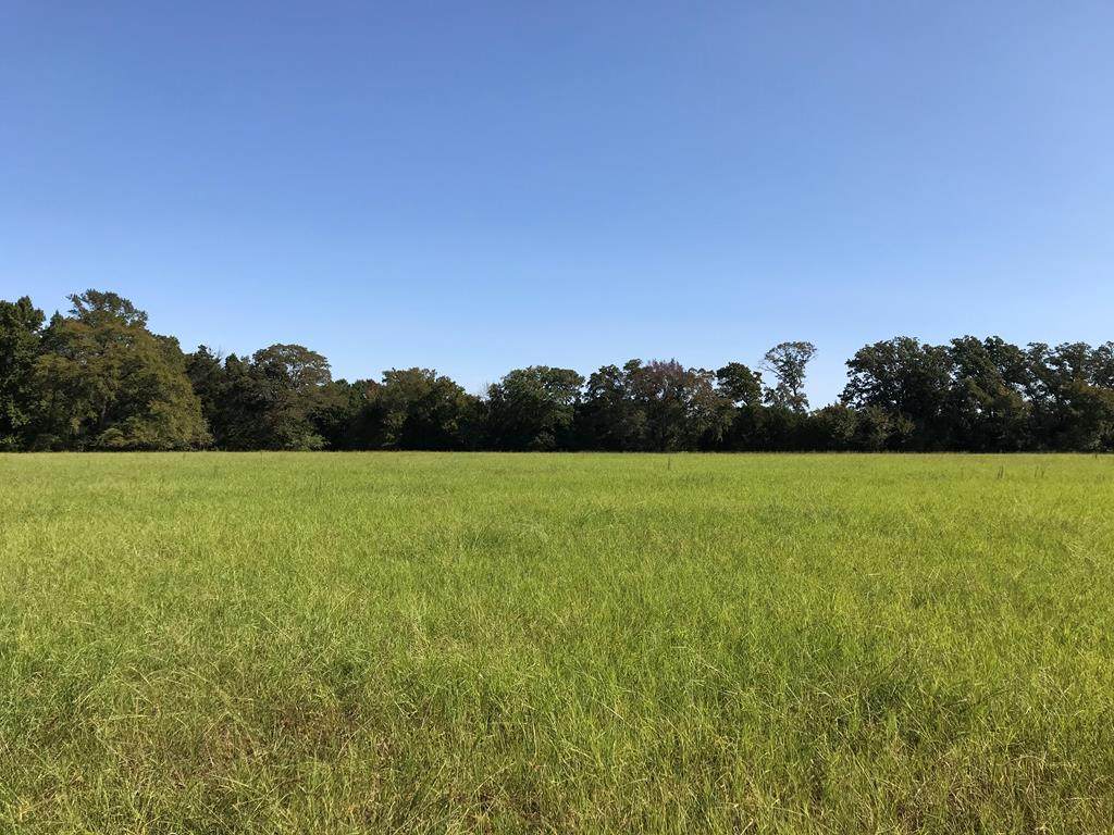 Tract 7 Cr 4507 - Photo 1