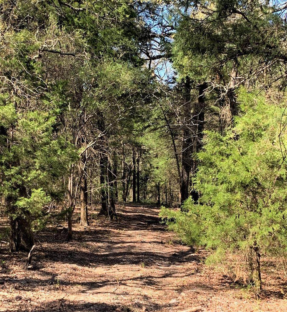 5245 Fm 2709 - Photo 1