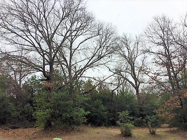 603-A Country Club Circle - Photo 1
