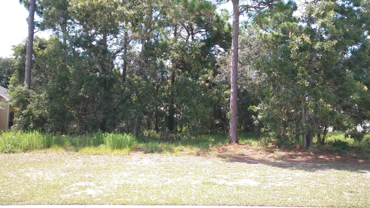 13363 Newcastle Avenue - Photo 1