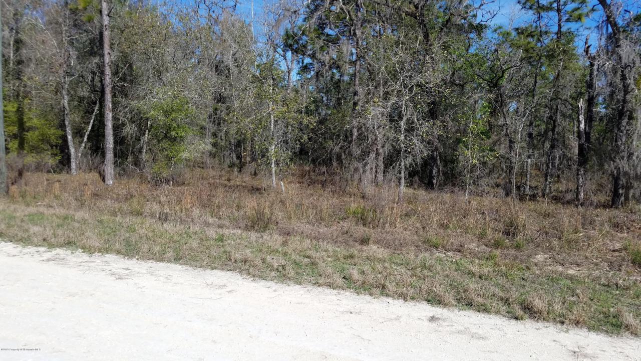 00000 Velvet Scoter Avenue - Photo 1