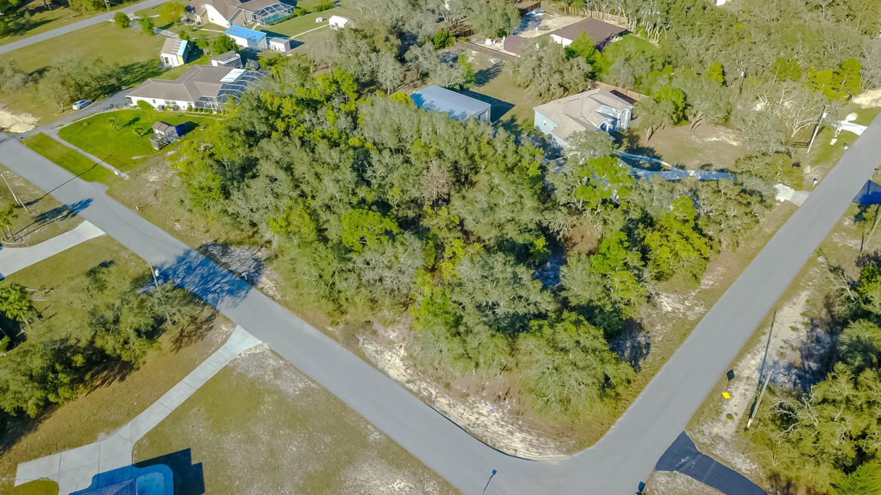 16247 Donney Moor Lane - Photo 1