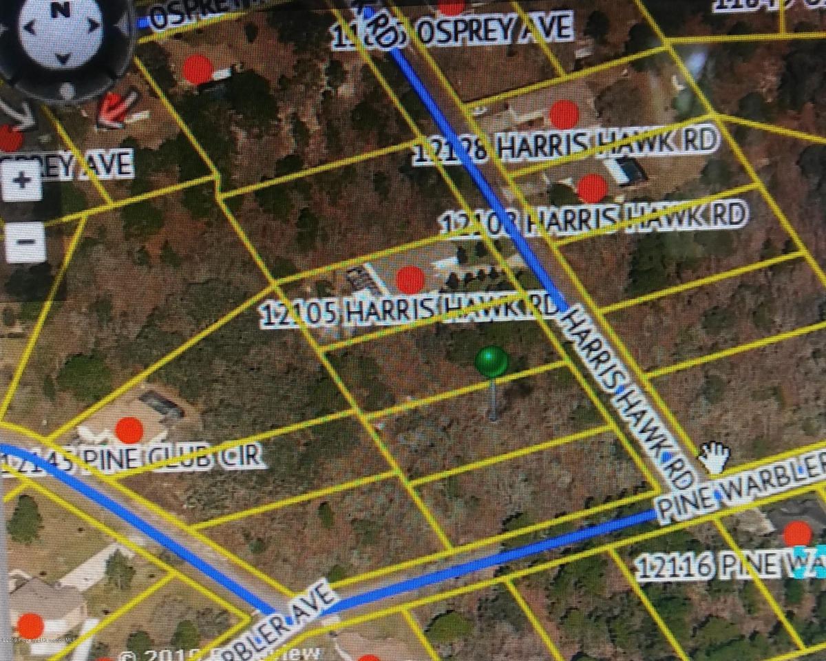 12085 Harris Hawk Road - Photo 1