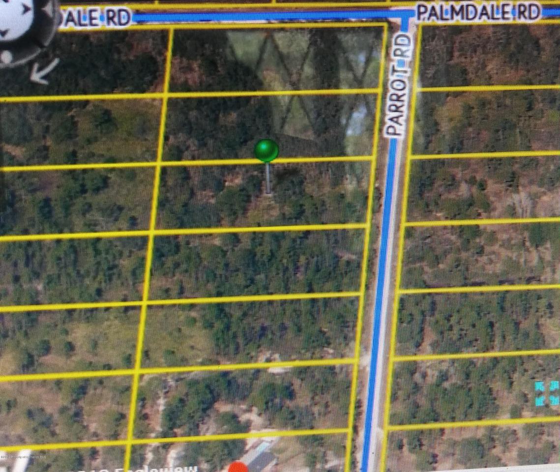 00 Parrot Road - Photo 1
