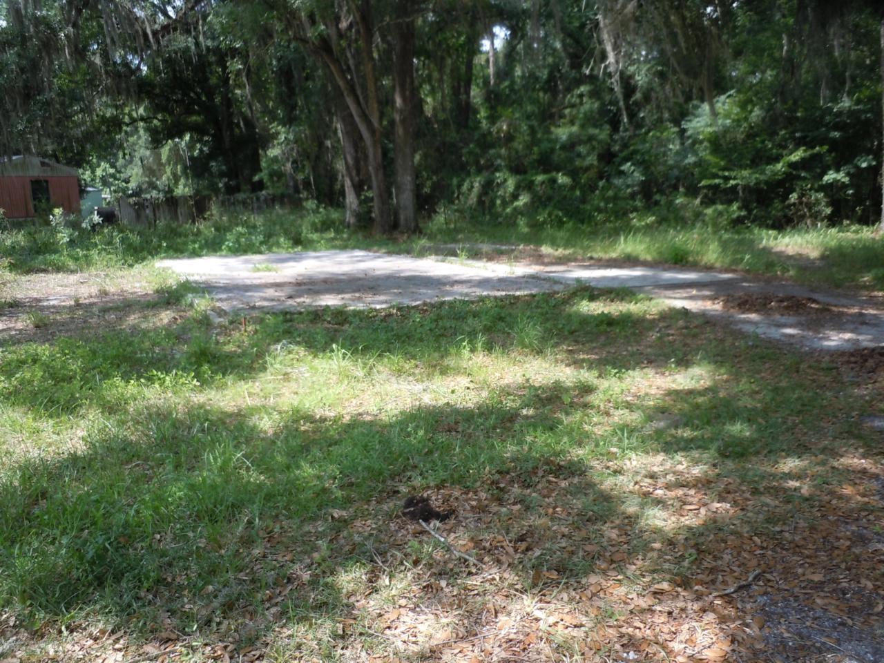 20218 Ganz Drive - Photo 1