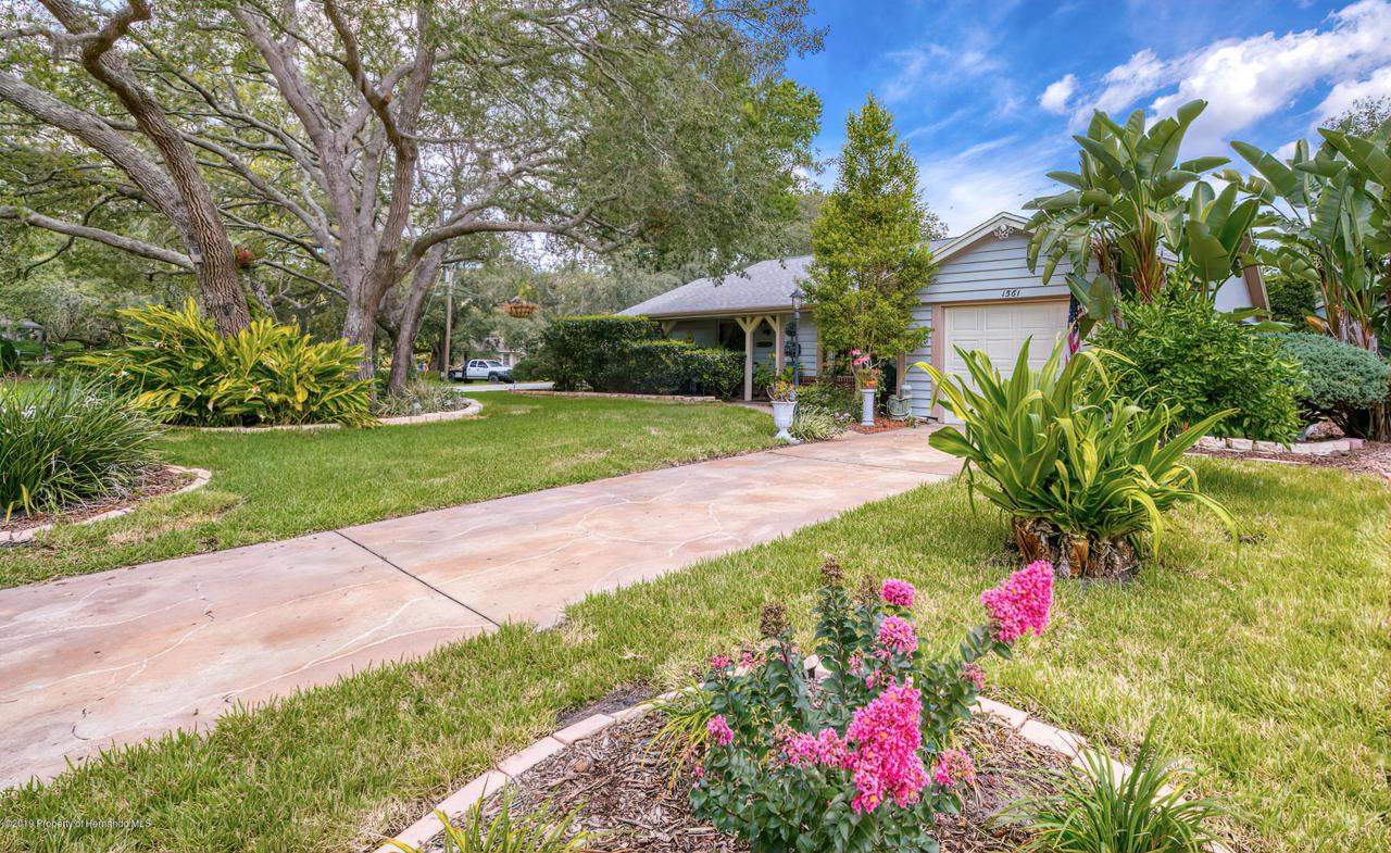 1561 Autumn Road - Photo 1