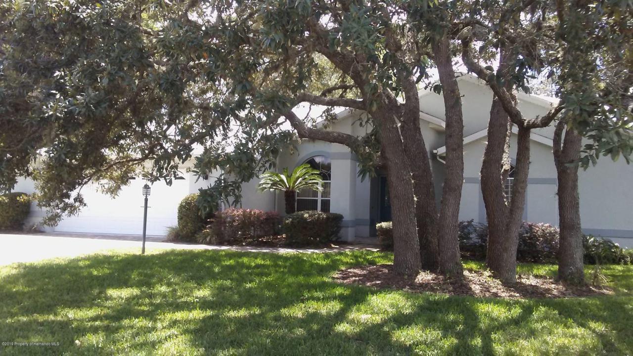 8430 Maybelle Drive - Photo 1