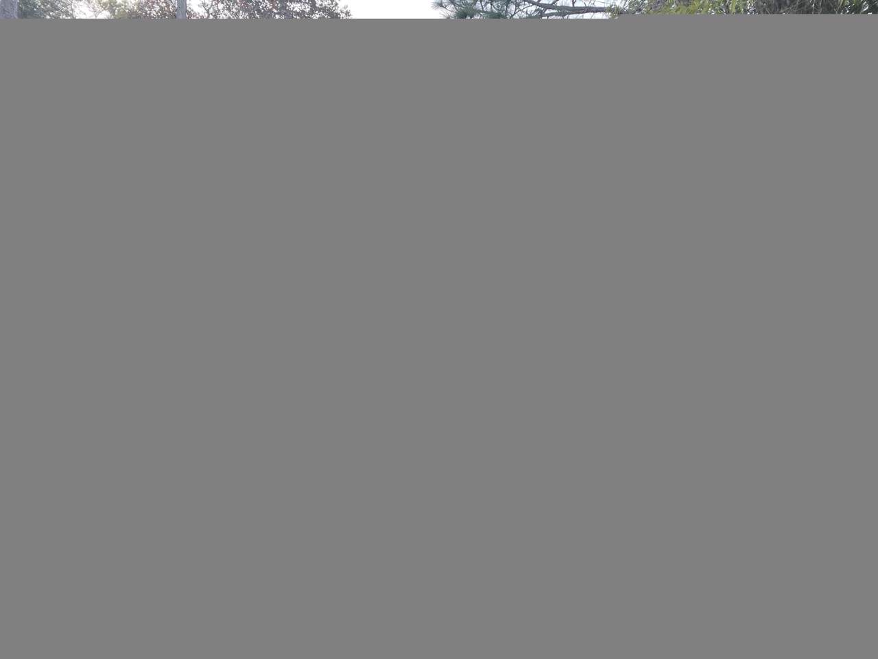 6345 California Street - Photo 1