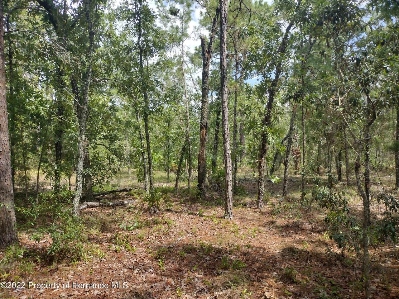 0 Maripoe Road - Photo 1