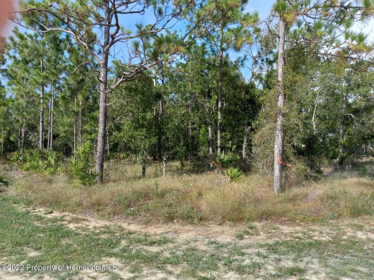 2956 W Laredo Drive - Photo 1