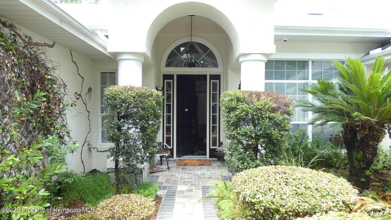4516 Rushmore Loop - Photo 1