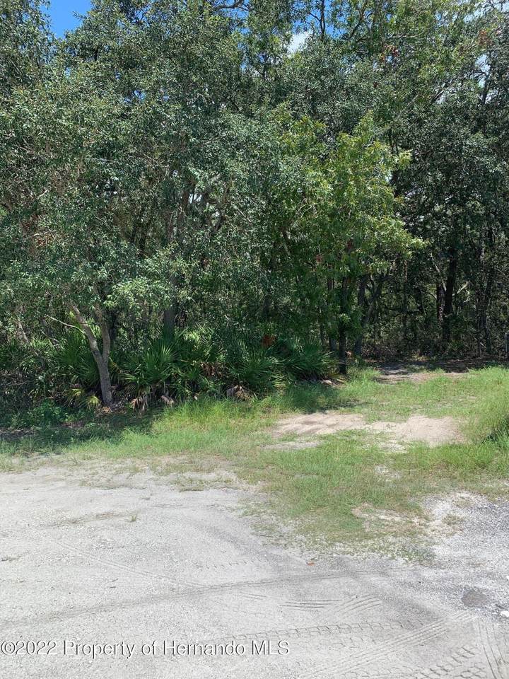 Address Not Published - Photo 1