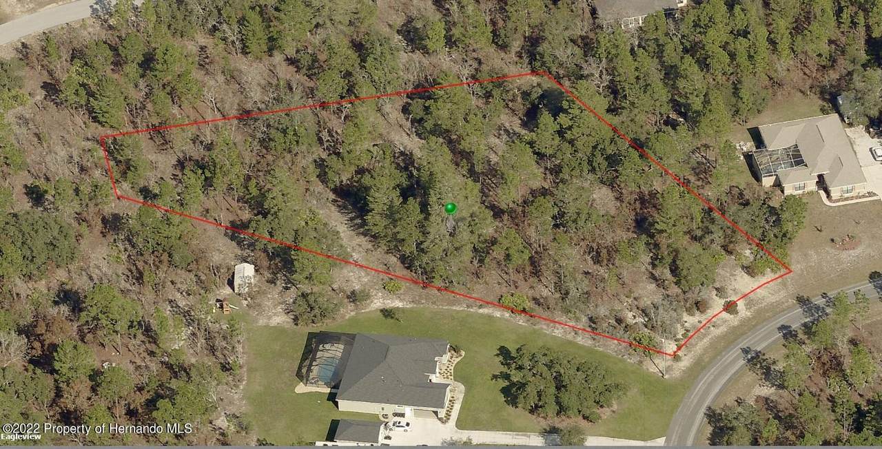 2240 W Tall Oaks Drive - Photo 1