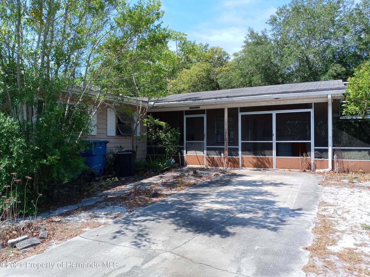 4631 Cynthia Lane - Photo 1