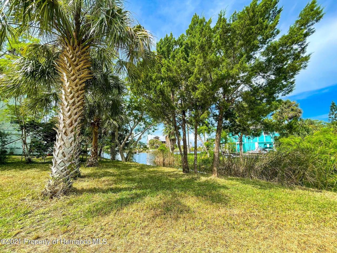 000 Crape Myrtle Drive - Photo 1