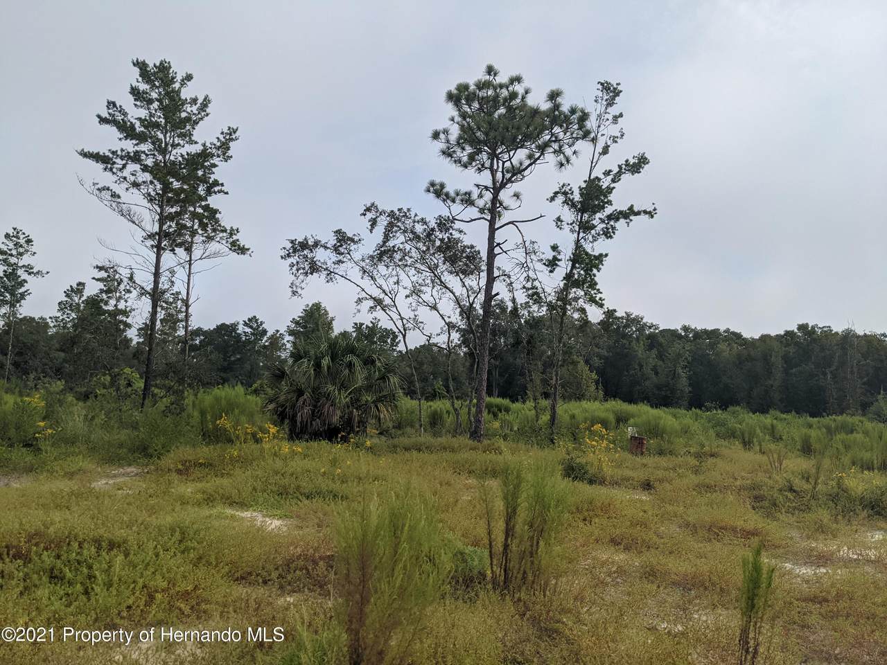 14402 Trinity Road - Photo 1